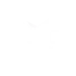 cmr-shopping-mll.webp